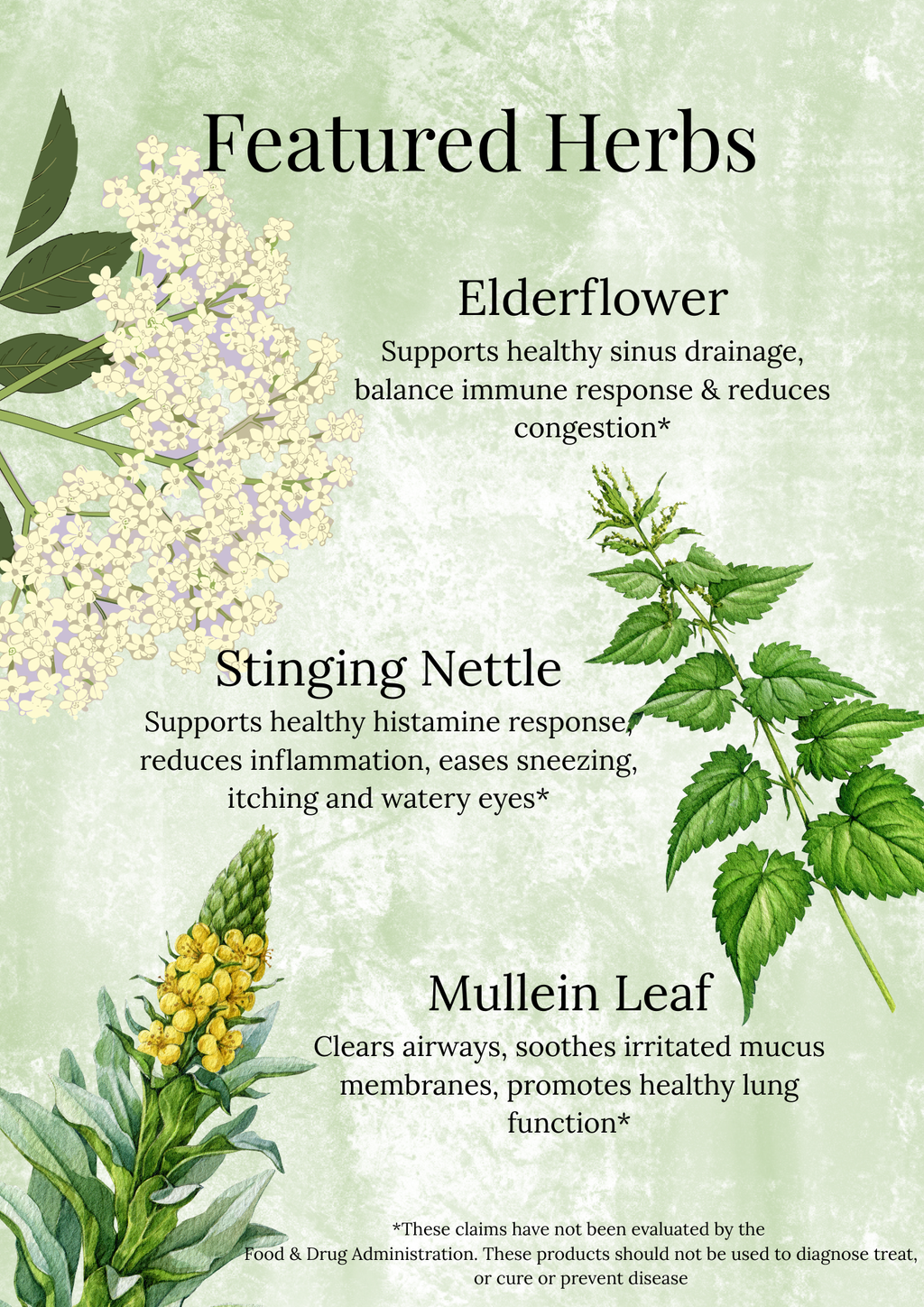 Allergy Relief Tincture