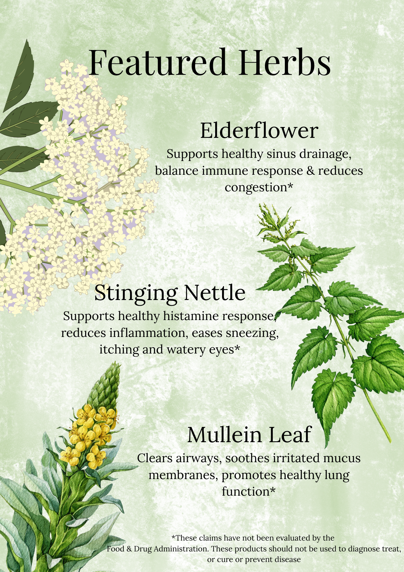 Allergy Relief Tincture